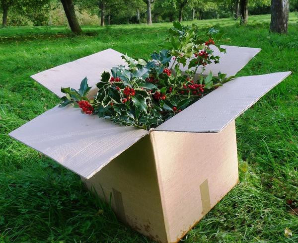 Wholesale Holly and Wreaths