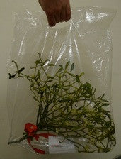 Mistletoe Carry-Away Bags (Just bags no mistletoe)