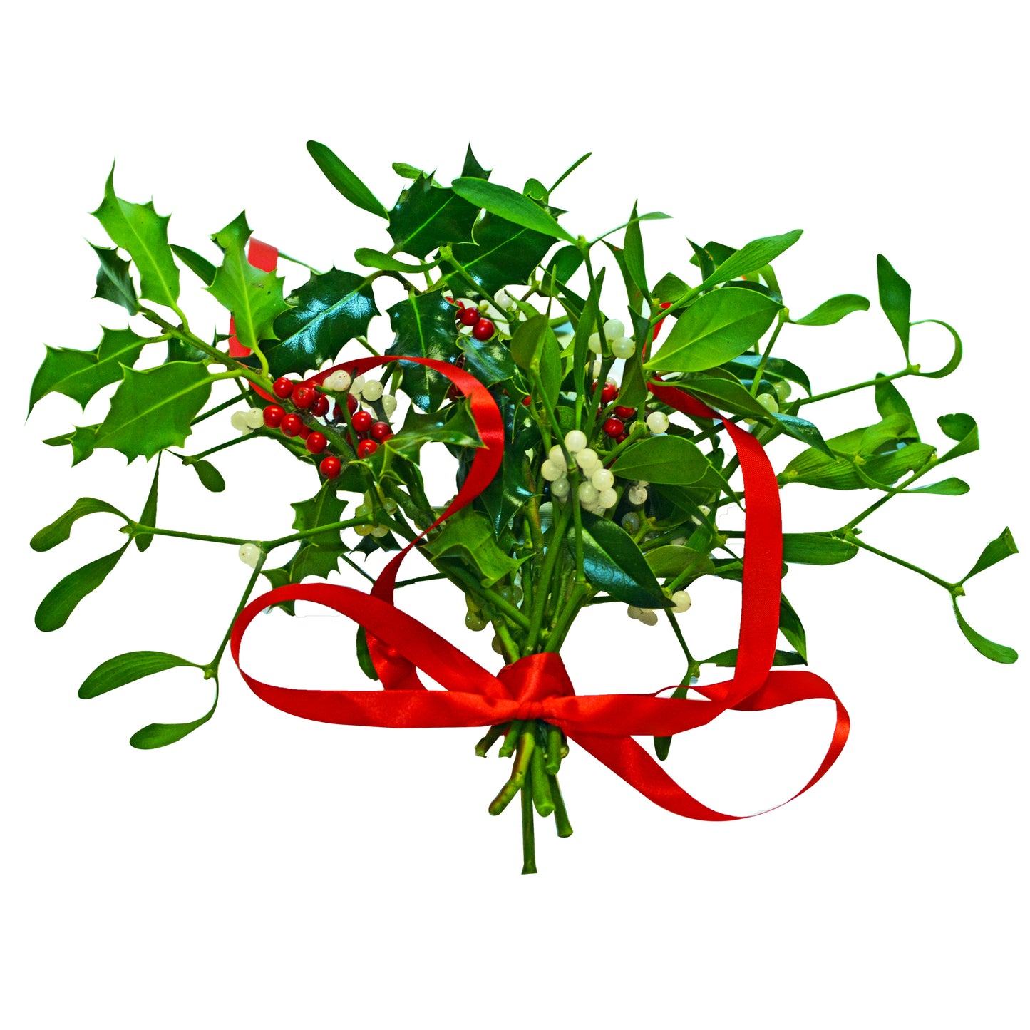 Gift-Wrapped Mistletoe & Holly