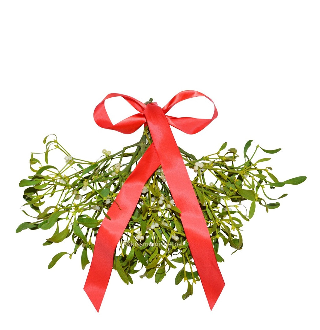 Gift-Wrapped Mistletoe Bunch