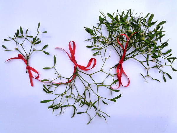 Bubble Packed Mistletoe Favours