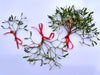 Bubble Packed Mistletoe Favours