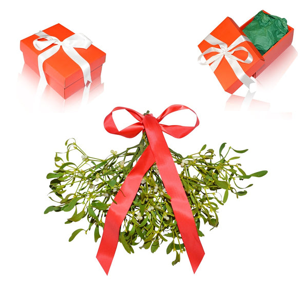 Gift-Wrapped Mistletoe Bunch