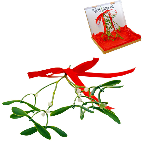 Artificial Mistletoe Sprig