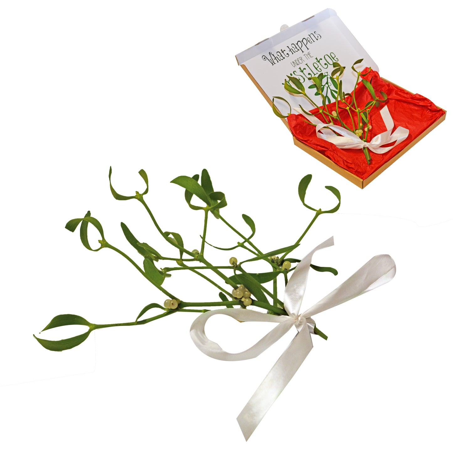Mini Mistletoe Bunch