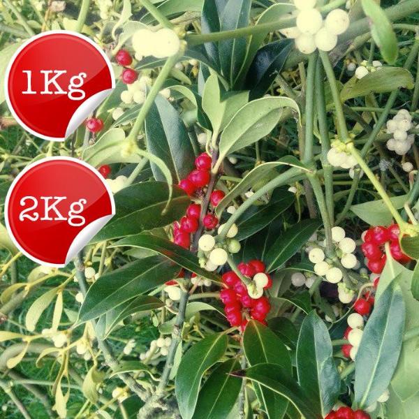 Mistletoe and Holly Mix