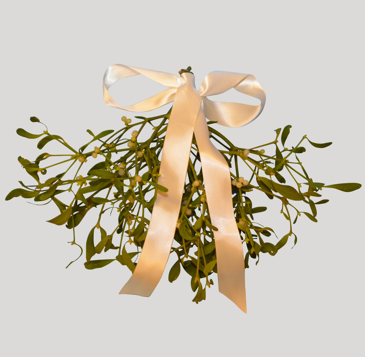 Mistletoe Express Large Mistletoe Bunches | KissMe Mistletoe