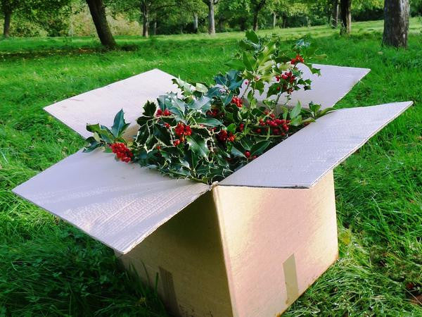 Wholesale Holly Mix