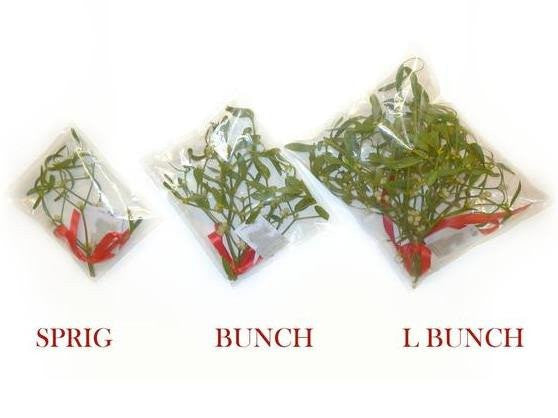 Bubble Packed Mistletoe Favours
