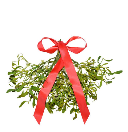 Gift-Wrapped Mistletoe Bunch